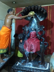 Maha Kali Yagam