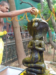 Nagar Homam and Garuda Homam