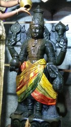Nellipodi Thirumanjanam