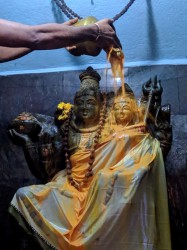 Sree Danvatri Peedam speical pooja for Bhairavar Yogna