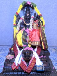 Sree Lakshmi Narasimar Temple Swathi Homam with special pooja