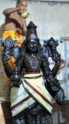 Thailabhisheka purthi Vizha