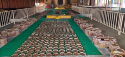 One Lakh Mustard With in the Morning Maperum Danvantri Homam