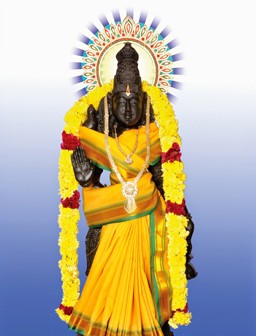 Sri Vasavi Homam