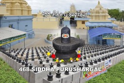Siddhar homam/Guru Homam