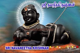 Sri Krishna Homam