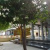 Sri Sthala Virutcham - Punnai Tree